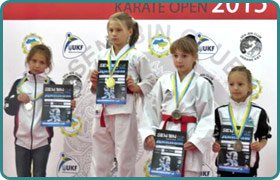   糿      Sen Bin Cup-2015 | scandy.kiev.ua